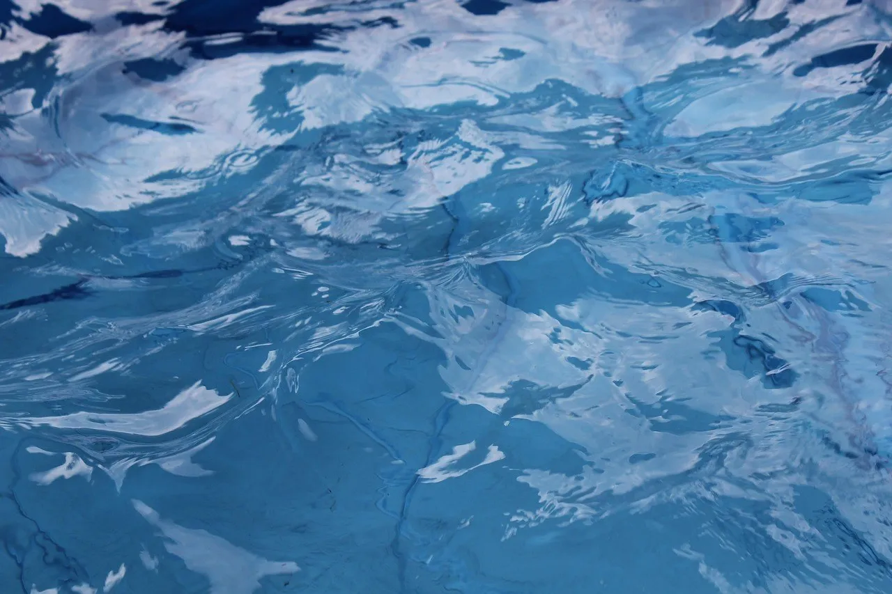 Photos d'illustration — Pisciniste